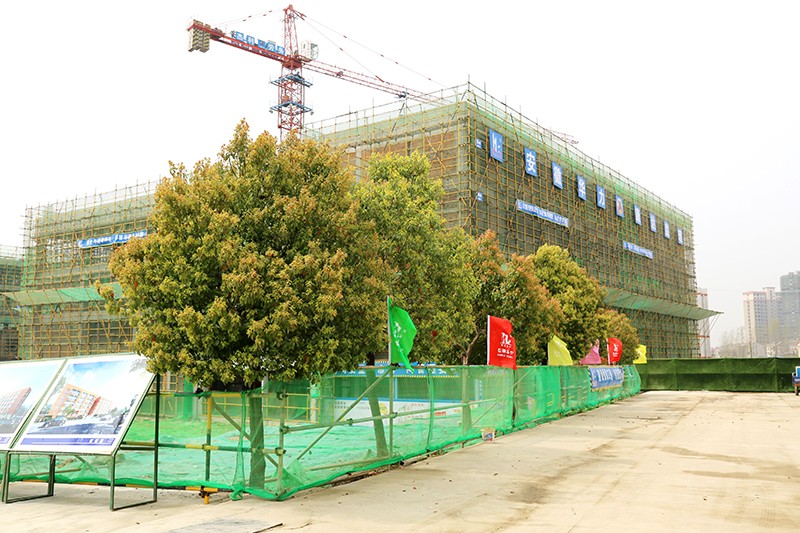 1554367033584948.jpg 1554367033584948.jpg