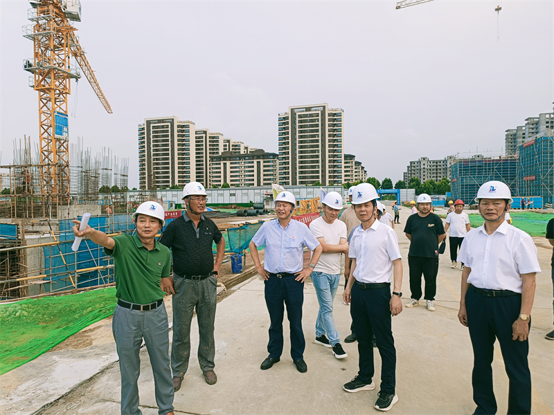 长丰县委书记李命山到银河苑三期安置区项目调研