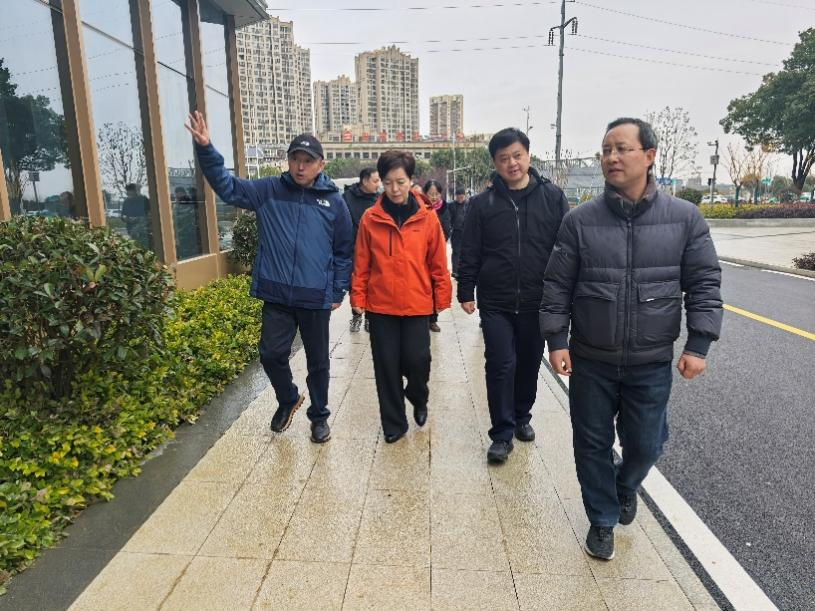 舒城县委副书记、县长胡敏至珺悦府项目调研