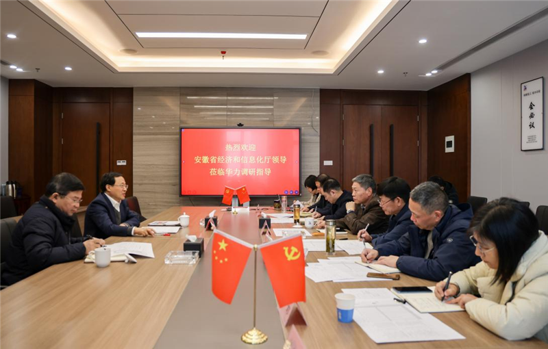 安徽省经济和信息化厅一级巡视员吴韦人一行到集团调研指导工作
