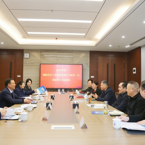 铜化集团弘宇房开公司领导一行赴华力考察交流