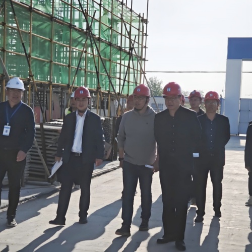 界首市委书记祁畅一行调研集团承建的界首市畜禽屠宰加工冷链生猪屠宰项目等