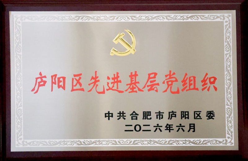 集团党委获评庐阳区先进基层党组织